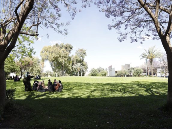 תמונה לדוגמה