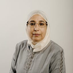 מ"א זינב אל צאנע