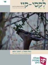 לקסי-קיי גיליון מס' 18 – דצמבר 2022