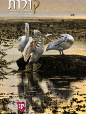 גיליון מס' 18 – יוני 2019